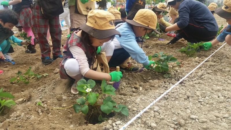 인천_서구,_친환경_도시농업_체험학습장_프로그램_운영_(2).jpg 이미지