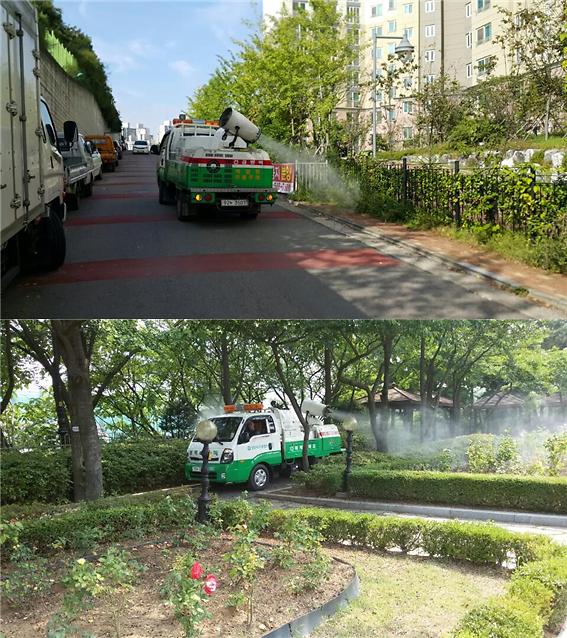 1서구,_하절기_야간_차량_방역소독.jpg 이미지