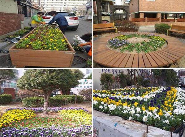 1서구,_꽃피는_도시조성을_위한_여름초화_21만본_지원_사업_실시.jpg 이미지
