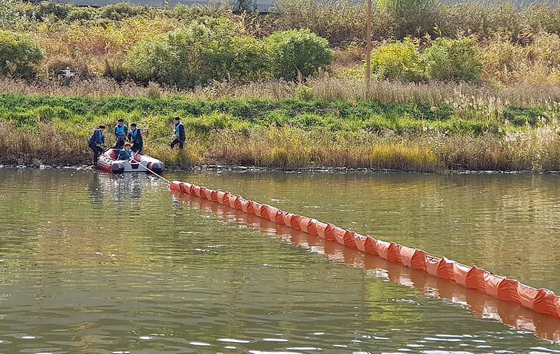 1서구,_내수면_합동_방제훈련_실시_(2).jpg 이미지