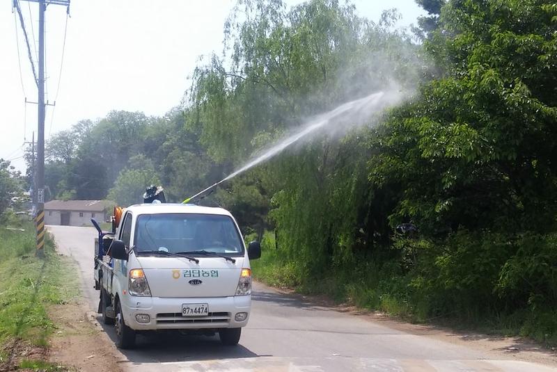 2서구,_돌발해충_대비_방제작업_실시.jpg 이미지