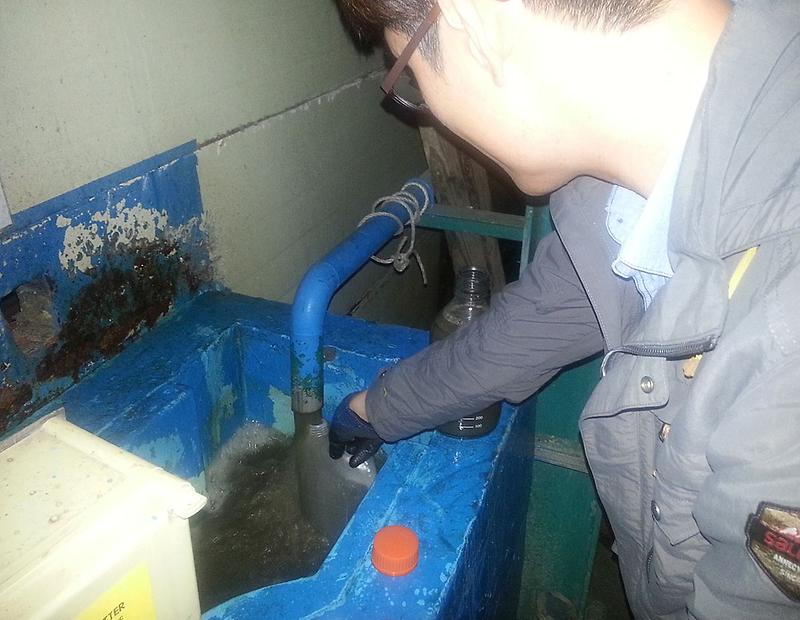 2서구,_휴가철_폐수무단방류_집중_감시.jpg 이미지