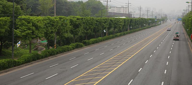 2서구,_명품가로수_시범거리_조성_시작_(1).jpg 이미지