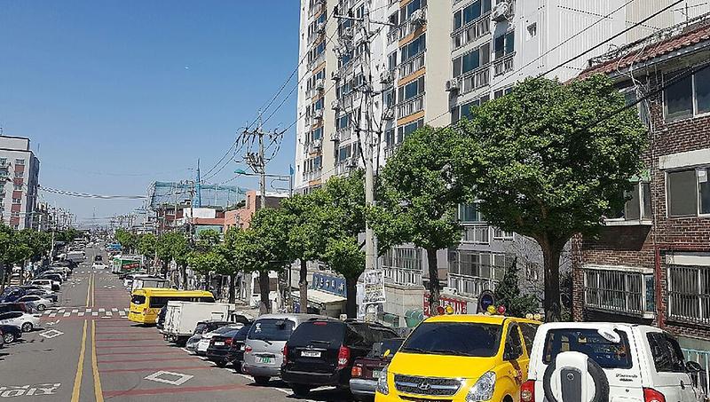 2서구,_명품가로수_시범거리_조성_시작_(2).jpg 이미지