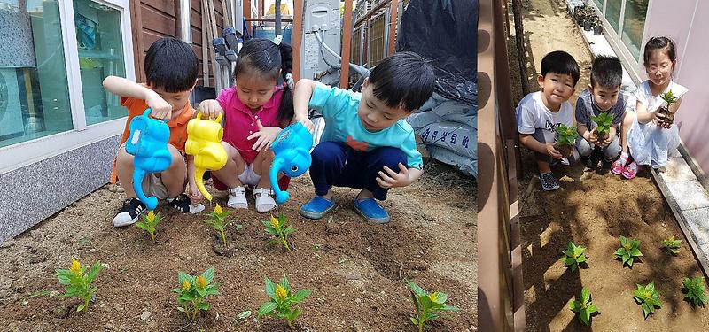 2여러분~~가을꽃_신청하세요!!.jpg 이미지