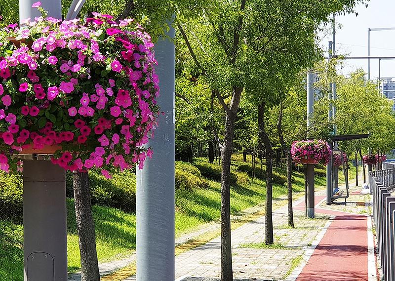 3서구,_앞서가는_생태도시_시범사업_중.jpg 이미지