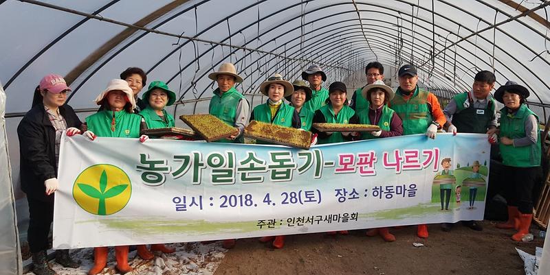 4서구,_새마을회_모판_나르기_일손_돕기_전개.jpg 이미지