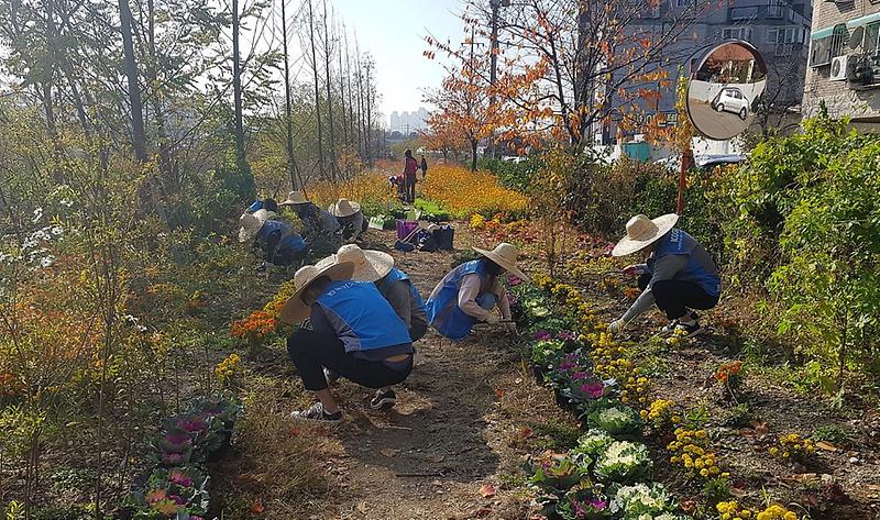 5서구_자원봉사센터,_‘공촌천아!_사랑해~’_사업_전개.jpg 이미지