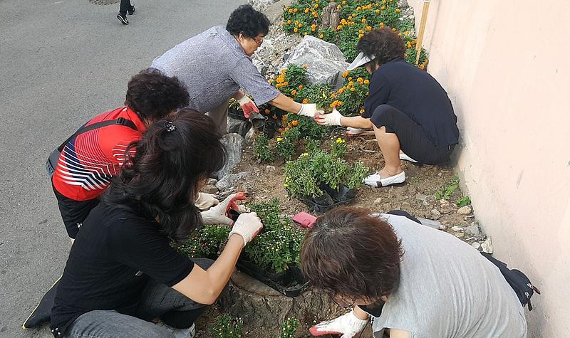 6서구_가정3동,_꽃과_함께하는_에코시티_조성_(1).jpg 이미지