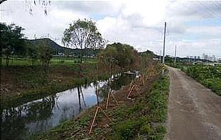 6서구,_하천환경_정비사업_시행정비후.jpg 이미지