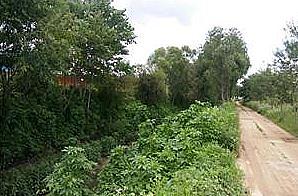 6서구,_하천환경_정비사업_시행정비전.jpg 이미지