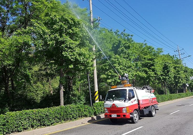 6서구,_깨끗한_도심_만들기_총력__불임제살포사진.jpg 이미지