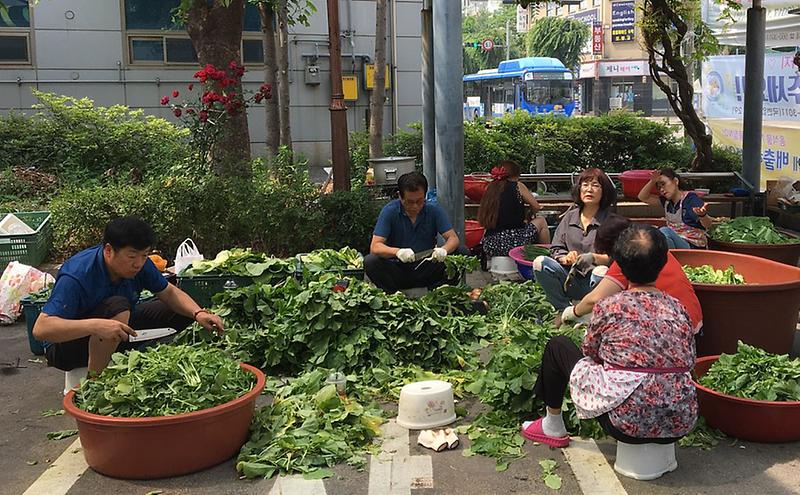 8서구_검암경서동_주민자치위원회,_열무김치_담그기_봉사_활동_전개.jpg 이미지