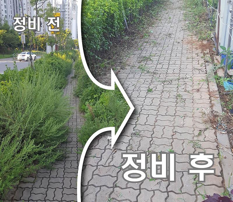 8서구_오류왕길동,_잡초제거_및_대청소_실시_(1).jpg 이미지