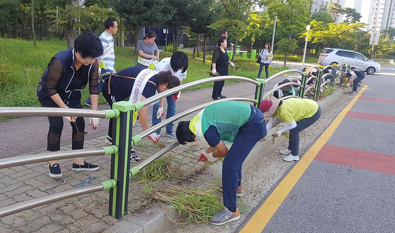 8서구_오류왕길동,_잡초제거_및_대청소_실시_(2).jpg 이미지