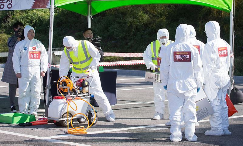 서구,_AI․구제역_가상방역_훈련(CPX)_실시1.jpg 이미지