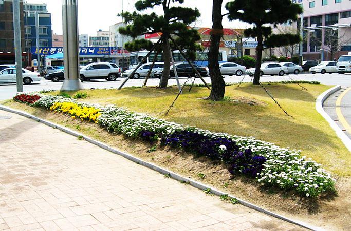 서구,_꽃피는_도시조성을_위한_계절_초화_지원사업_실시.jpg 이미지