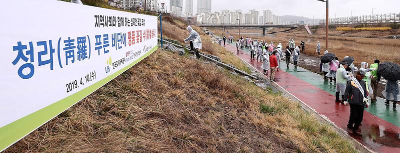 1서구,_심곡천_명품_꽃길_시범거리_조성_나서...2.jpg 이미지