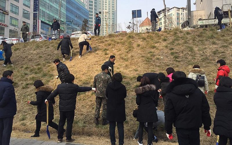 2청라1동,_함께_가꾸는_우리_동네_힐링_꽃밭_조성.jpg 이미지