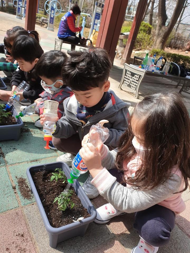 3서구,_도시농업체험_프로젝트_실시_(1).jpg 이미지