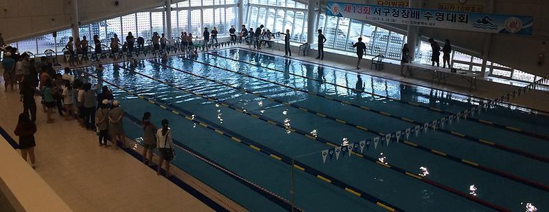 3서구,_제16회_서구청장배_수영대회_개최.jpg 이미지