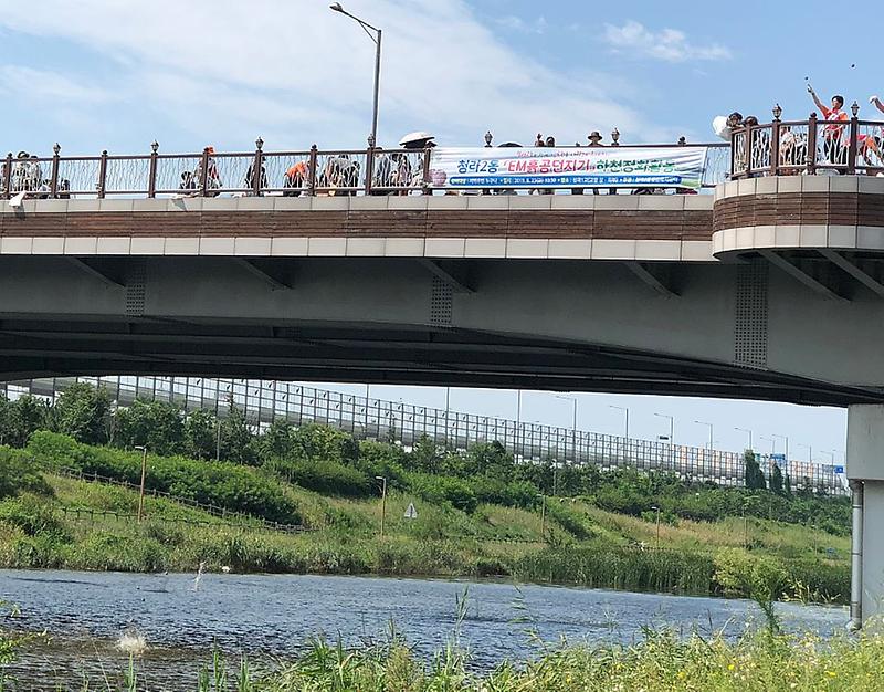 4청라2동,_하천정화활동_‘EM흙공던지기.jpg 이미지