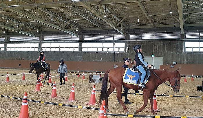 4서구드림스타트,_“힐링_승마교실”_운영_(1).jpg 이미지