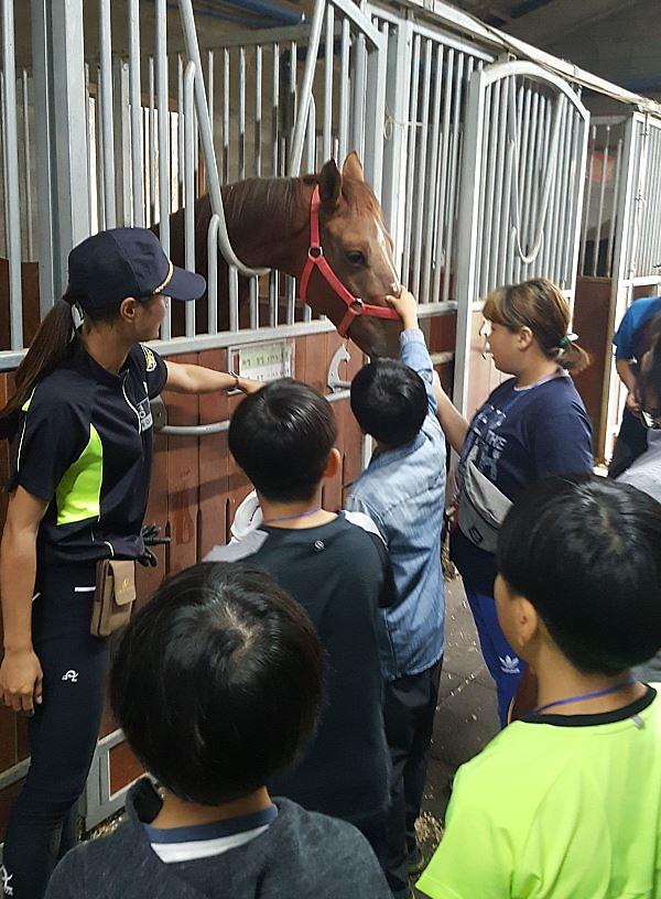 4서구드림스타트,_“힐링_승마교실”_운영_(2).jpg 이미지