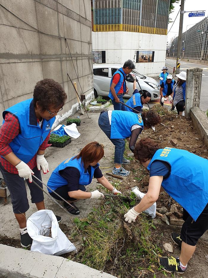 5가정3동_클린서구추진단,_꽃과_함께하는_마을조성_(2).jpg 이미지