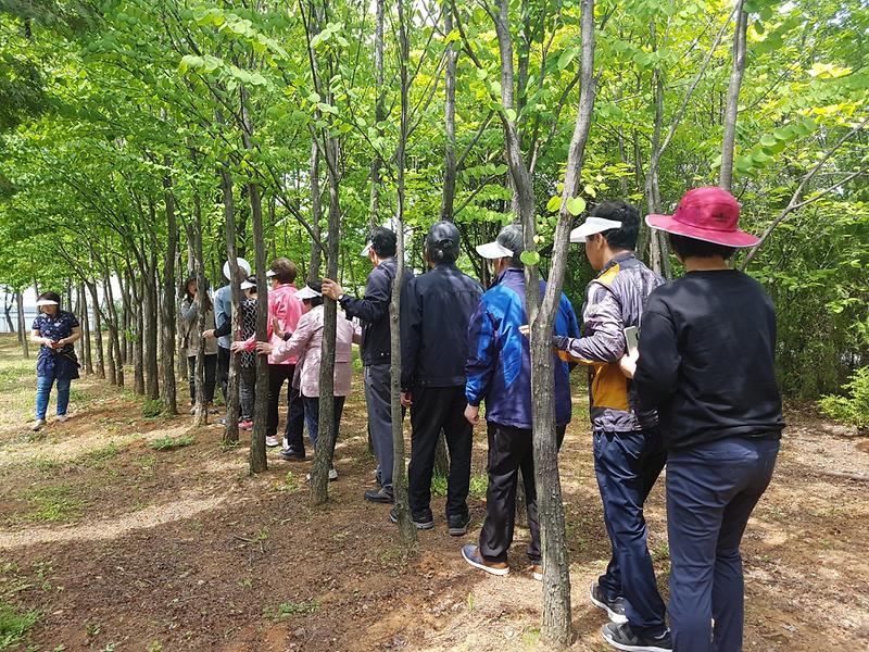 5서구치매안심돌봄터,_가족과_함께하는_힐링_나들이.jpg 이미지