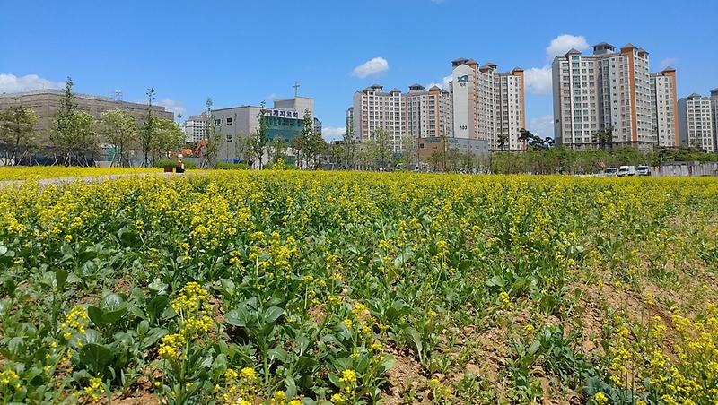 5우리_동네에_이런_곳이!_주민만족_쑥쑥!_(3).jpg 이미지