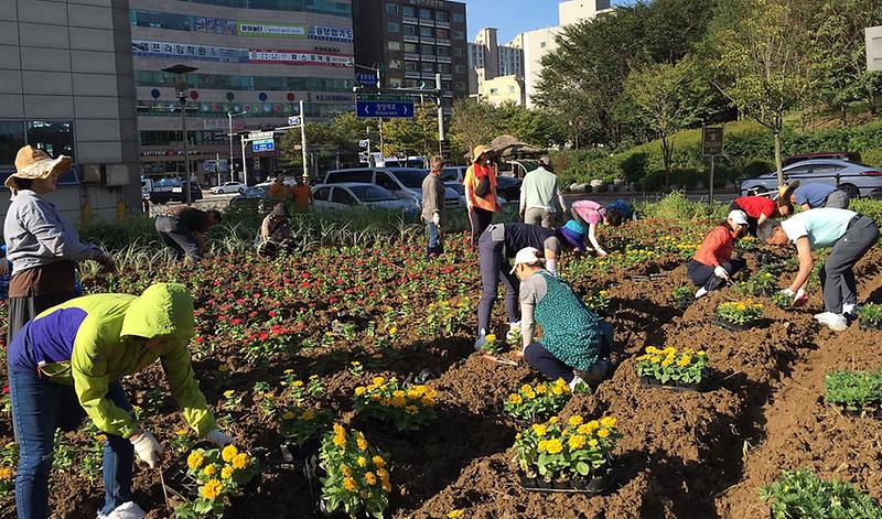 5원당동,_아름다운_꽃밭_만들기_사업_추진.jpg 이미지