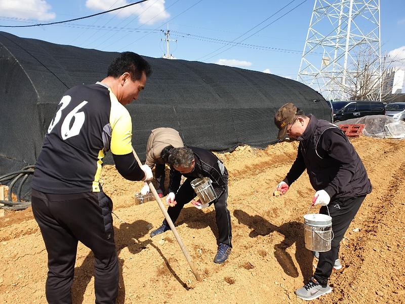 5연희동,_소외계층을_위한_‘둥글래_텃밭’_경작_(2).jpg 이미지