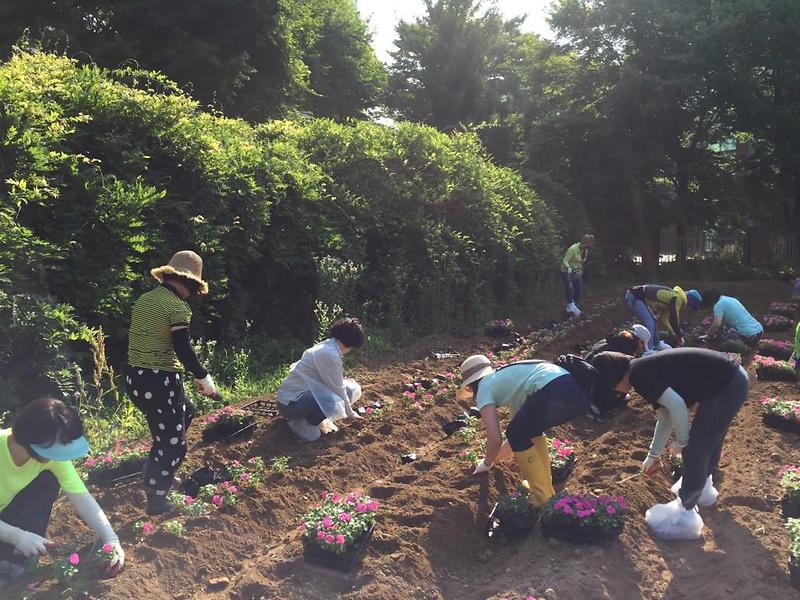 6원당동,_아름다운_꽃밭_만들기_추진.jpg 이미지