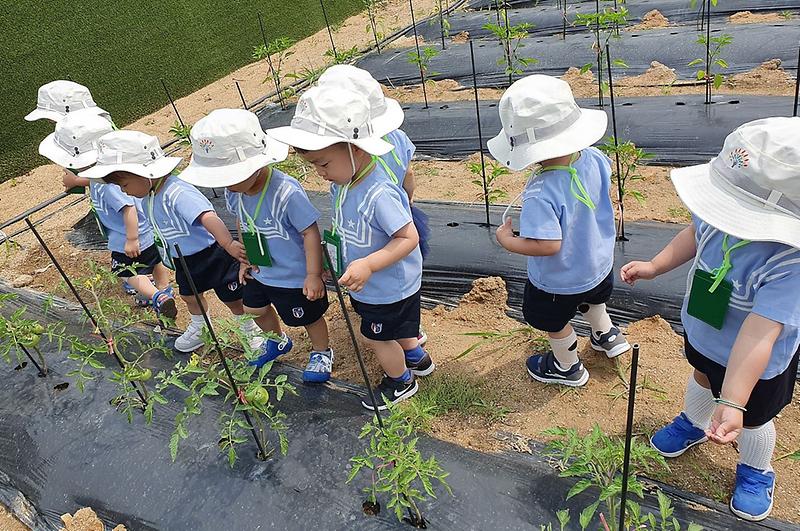 7서구,_어린이_영양박사_‘즐거운_꼬마농부의_하루’_(1).jpg 이미지