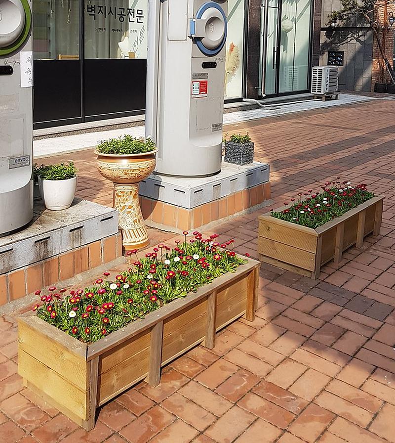 8청라3동,_꽃과_함께하는_봄맞이_준비_(1).jpg 이미지