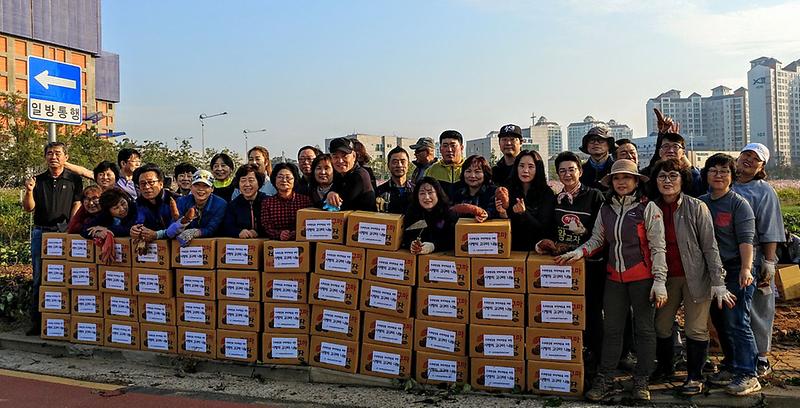 8오류왕길동,_고구마_수확․․․기쁨은_나눌수록_커져요!_(1).jpg 이미지