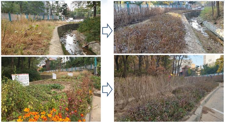 2금곡동_무단경작지,_‘사계절_꽃피는_그린_스페이스’로_탈바꿈!.jpg 이미지