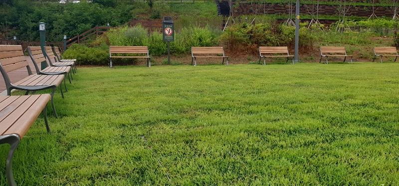 3“사계절_꽃피는_공원으로”…서구,_현무체육공원_환경개선_완료_(2).jpg 이미지