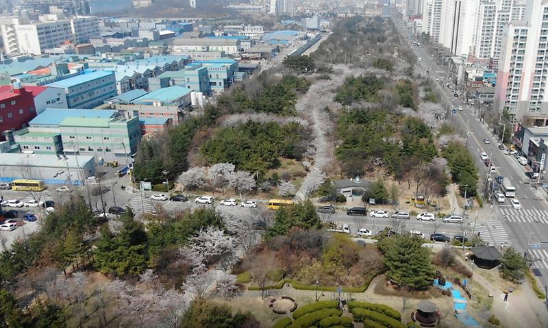 3두구두구두구~_석남완충녹지의_별칭은__(1).jpg 이미지