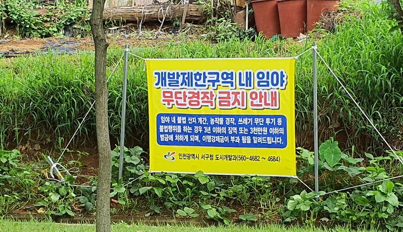 3서구,_‘개발제한구역_내_무단경작_금지’_홍보_현수막_설치.jpg 이미지