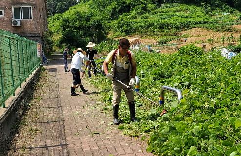 4원당동,_인도_잡초제거…“안전하고_청결한_동네_만들어요”_(1).jpg 이미지