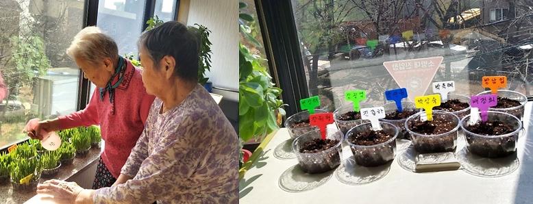 5“나만의_반려_식물_키우며_생활의_활력_UP!”_(1).jpg 이미지