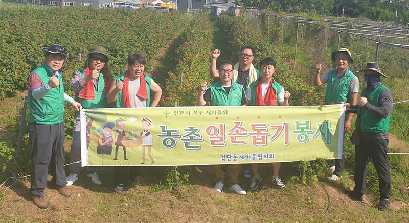 5검단동_새마을협의회,_‘정을_나눠요’…농촌일손돕기_봉사_나서.jpg 이미지