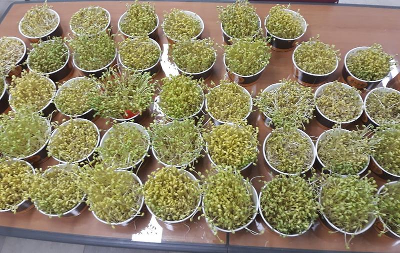 5서구자원봉사센터,_‘Volunteer_Village’_활동_실시_(1).jpg 이미지