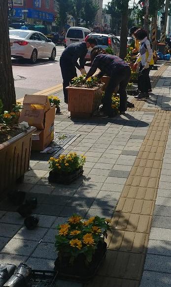 6“어디서_꽃향기_안_나요”…가좌1동,_가을초화_식재.jpg 이미지