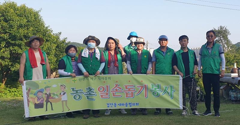 6검단동_새마을협의회,_농촌일손돕기_실천은_계속된다~.jpg 이미지