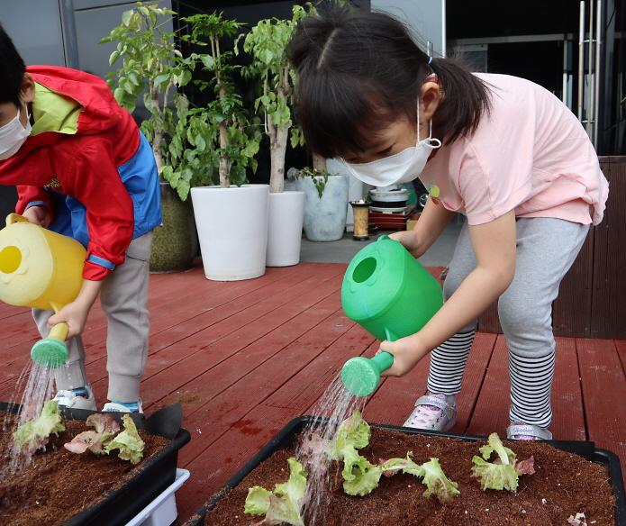 8서구_어린이급식관리지원센터,_‘리틀파머스쿠킹’_진행.jpg 이미지