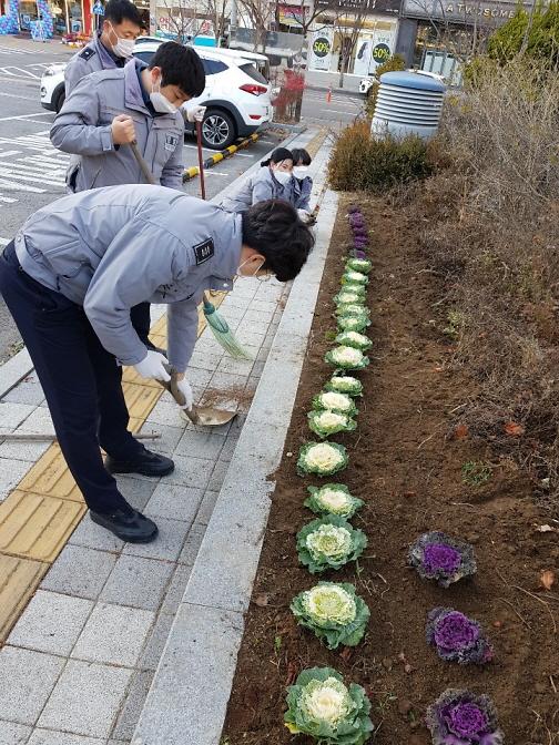 9청라1동,_초화_식재·민원실_크리스마스트리로_겨울맞이__(2).jpg 이미지