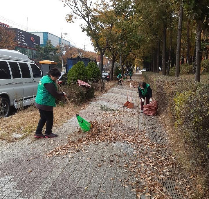 9가좌4동_새마을부녀회,_‘가을_낙엽_대청소’_실시__(1).jpg 이미지